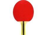 Cornilleau Sport 400