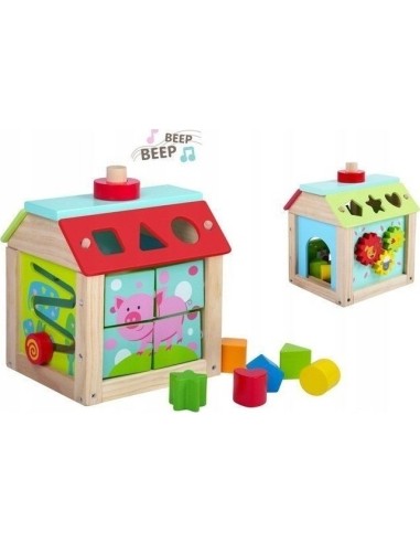 Wooden Educational Cube Sorter + Blocks Ecotoys