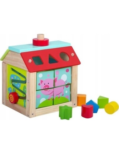 Wooden Educational Cube Sorter + Blocks Ecotoys