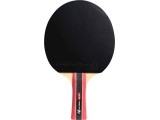 Cornilleau Sport 300