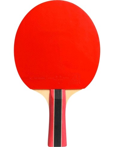 Cornilleau Sport 300