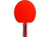 Cornilleau Sport 300