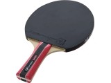 Cornilleau Sport 300