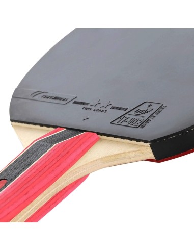 Cornilleau Sport 300