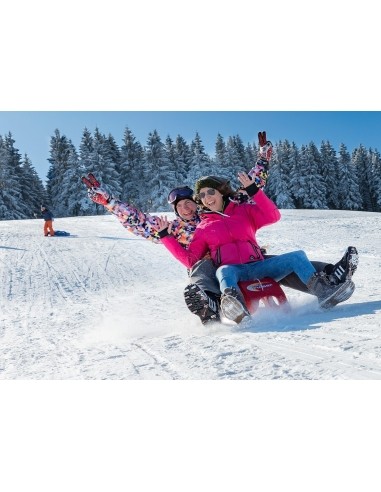 Plastikinės rogutės RollySnow Cruiser