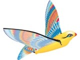 CALY Tim Bird