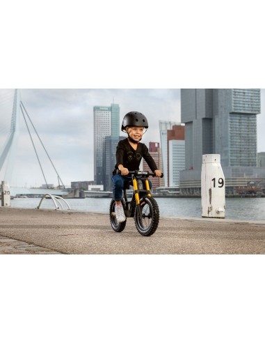 BERG Biky Cross Grey Handbrake