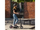 E-Scooter inSPORTline Swifter