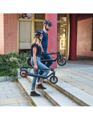 E-Scooter inSPORTline Swifter