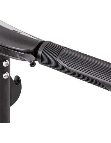 E-Scooter inSPORTline Swifter