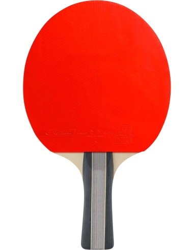 Cornilleau Sport Pack SOLO stalo teniso rinkinys