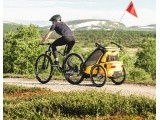 Multi-Sport dviračio priekaba, vežimėlis vaikui Thule Chariot Sport Black/Spectra Yellow, vienvietis