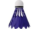 Plunksniniai badmintono kamuoliukai NBL6213, įvairiaspalviai, 3 vnt., NILS