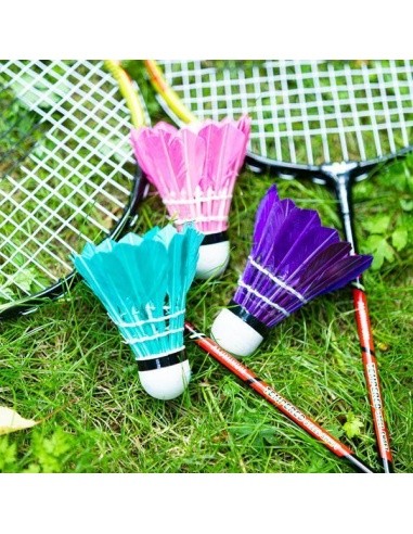 Plunksniniai badmintono kamuoliukai NBL6213, įvairiaspalviai, 3 vnt., NILS