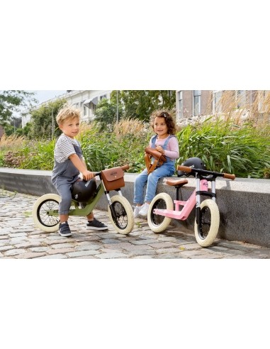 Balansinis dviratukas BERG Biky Retro Pink