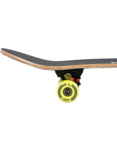 CR3108SA BRAIN SKATEBOARD NILS EXTREME