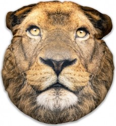 Splat Planet souvenir cushion LION