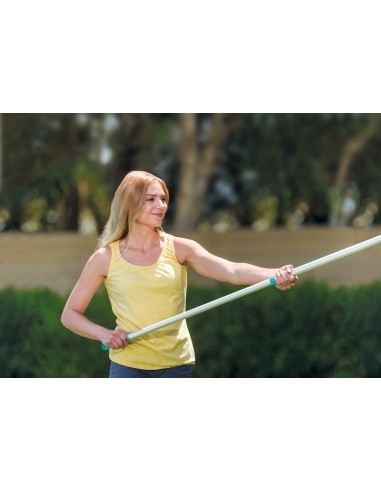 Telescopic cleaning pole 239cm for net INTEX 29054