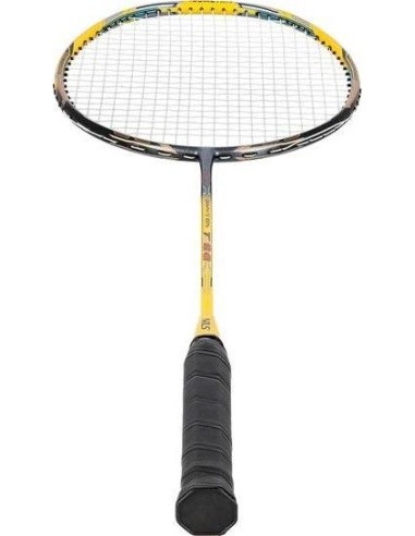 Badmintono raketė su dėklu NILS NR419 Carbon
