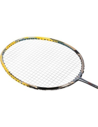 Badmintono raketė su dėklu NILS NR419 Carbon