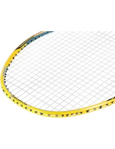 NR419 CARBON / BADMINTON ROCKET + COVER NILS