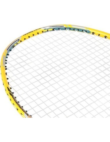 Badmintono raketė su dėklu NILS NR419 Carbon