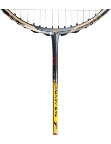 NR419 CARBON / BADMINTON ROCKET + COVER NILS