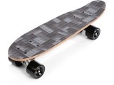 skateboard mona lisa