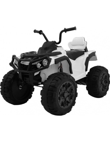Keturratis keturratis ATV 2 4GHz baltas