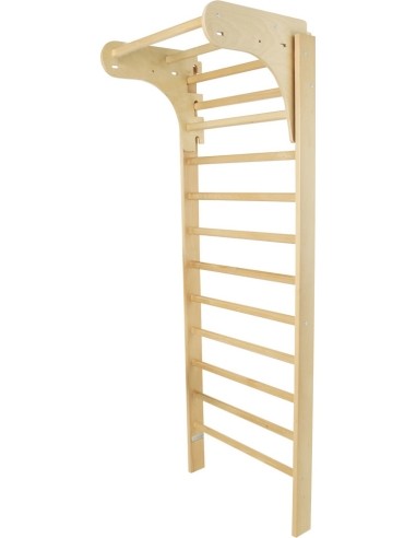 Gimnastikos sienelė su skersiniu prisitraukimams inSPORTline Directline, 190x65cm