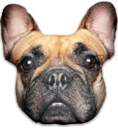 Splat Planet souvenir cushion FRENCH BULLDOG