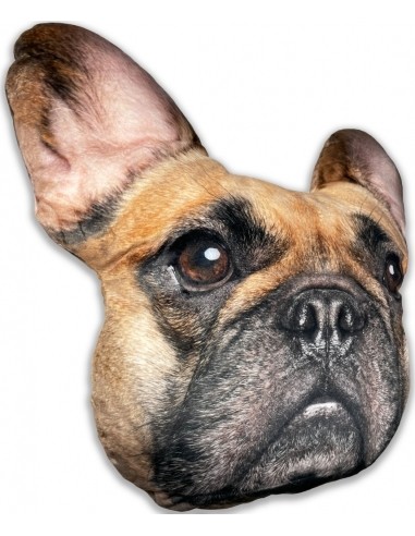 Splat Planet souvenir cushion FRENCH BULLDOG