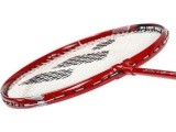 ALUMTEC 5566 BADMINTON SET 4 PCS +3 PCS SHUTTLECOCKS+NET+LINES WISH