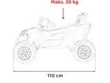Transporto priemonė ATV CAN-AM Maverick Red