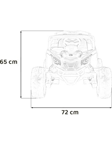 Transporto priemonė ATV CAN-AM Maverick Red