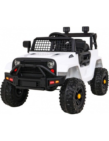 Transporto priemonė Jeep Dark Night White