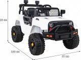 Transporto priemonė Jeep Dark Night White