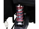 Vehicle Buggy UTV-MX Red