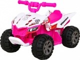 Vehicle Quad THE FASTEST Pink