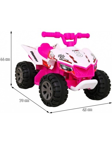 Vehicle Quad THE FASTEST Pink