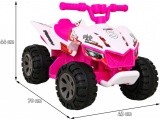 Vehicle Quad THE FASTEST Pink