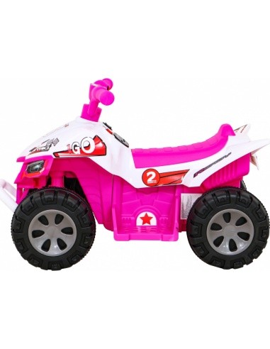 Vehicle Quad THE FASTEST Pink