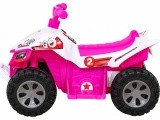 Vehicle Quad THE FASTEST Pink