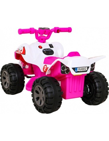 Vehicle Quad THE FASTEST Pink