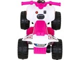 Vehicle Quad THE FASTEST Pink