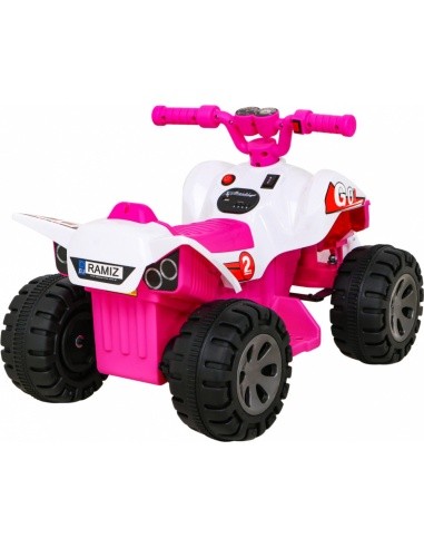Vehicle Quad THE FASTEST Pink