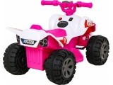 Vehicle Quad THE FASTEST Pink