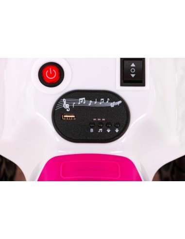 Vehicle Quad THE FASTEST Pink