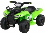 Vehicle Quad Storm Green