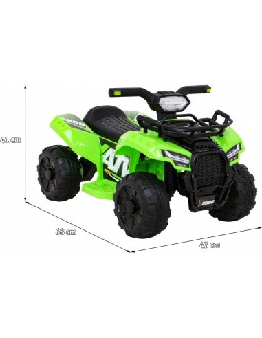 Vehicle Quad Storm Green